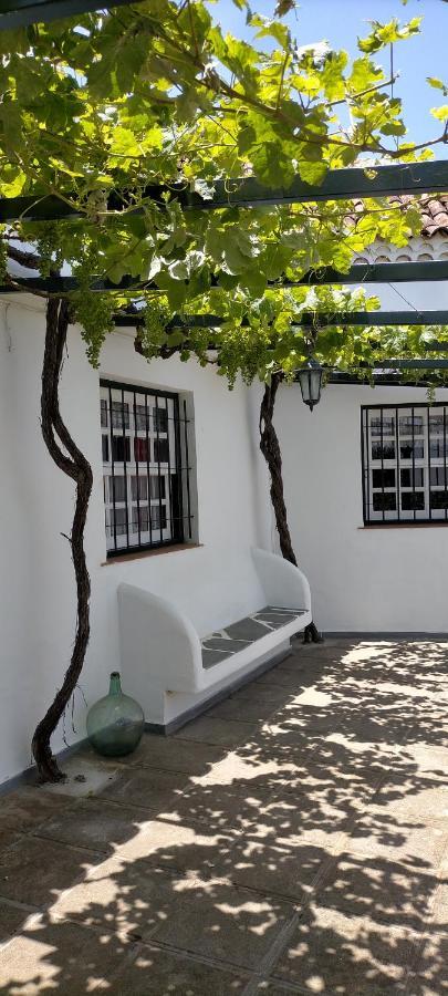 Villa El Lagar De Piedra à San Juan de la Rambla Extérieur photo